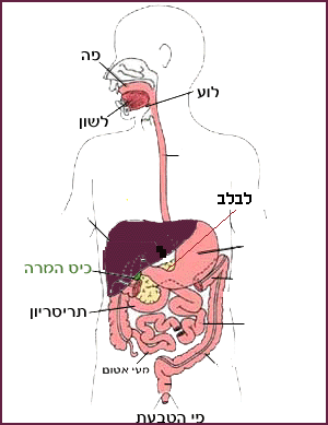 Description: Description: Description: Description: Description: Description: Description: Description: DIGESTI